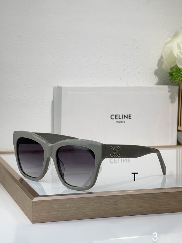Celine Sunglasses ID:20250816-184